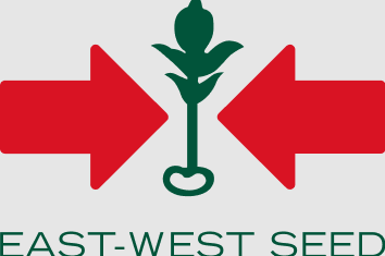 East West Seed Cambodia East West Seed Cambodia
